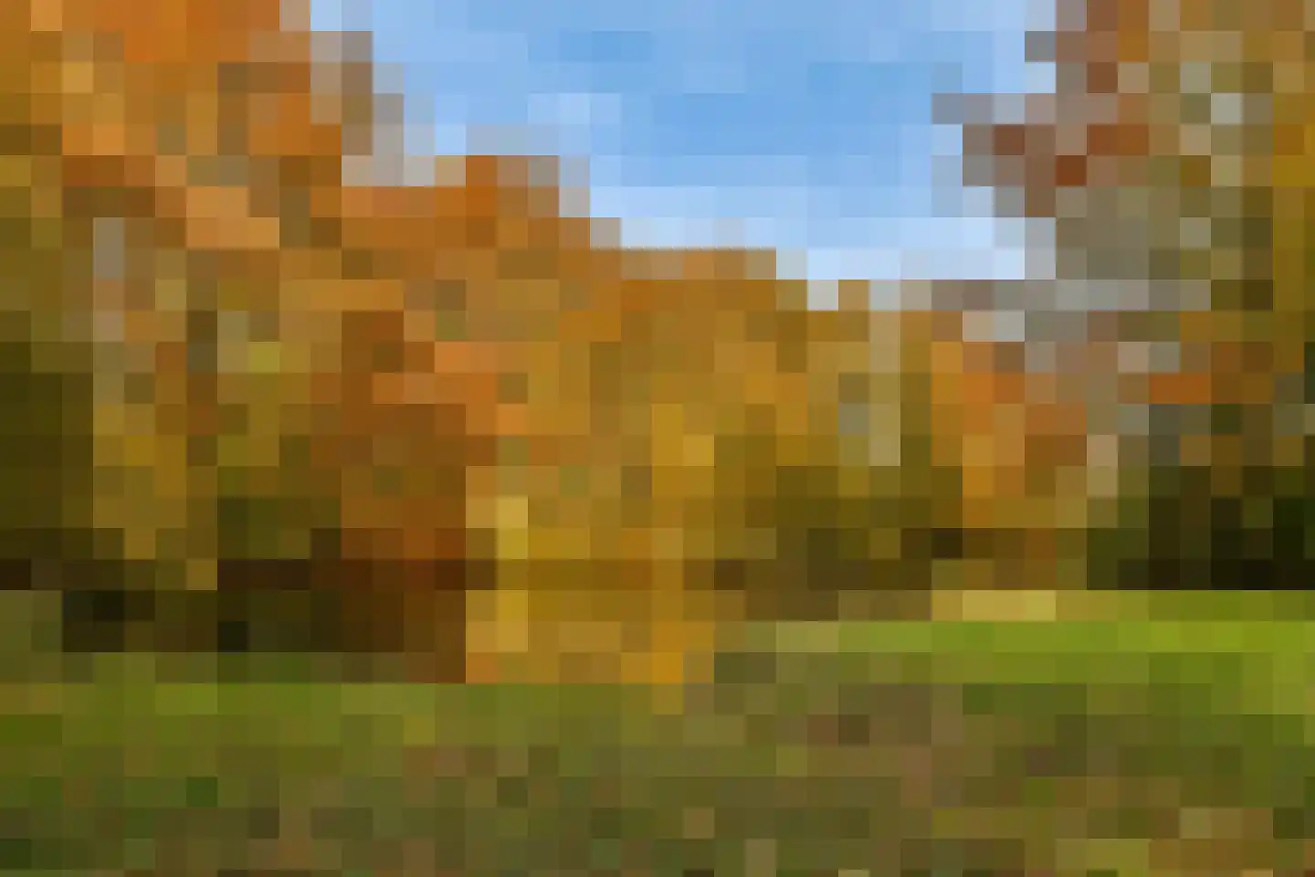 Oosteinderweg 407 Aalsmeer thumbnail 42