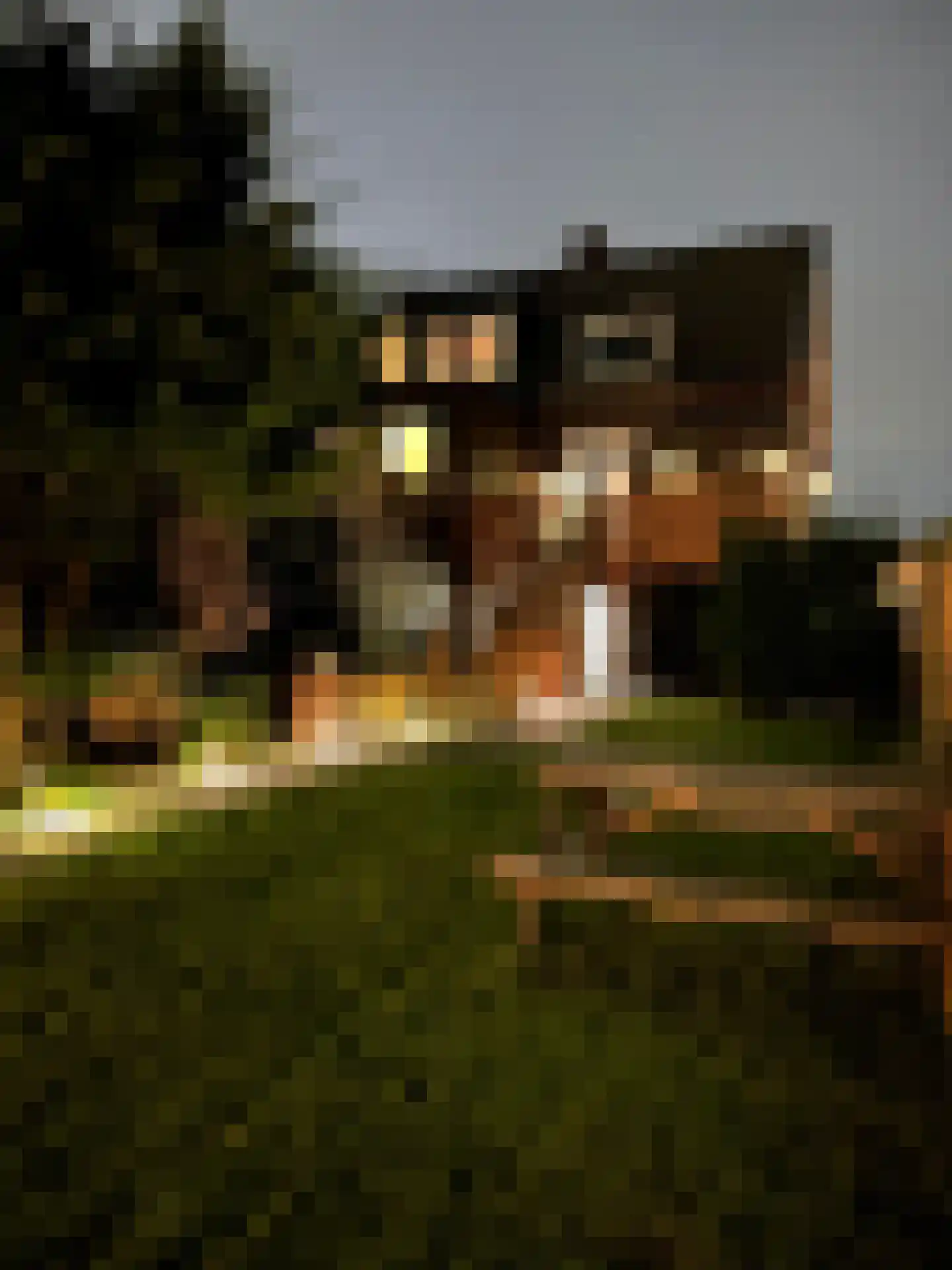 Oosteinderweg 407 Aalsmeer thumbnail 49