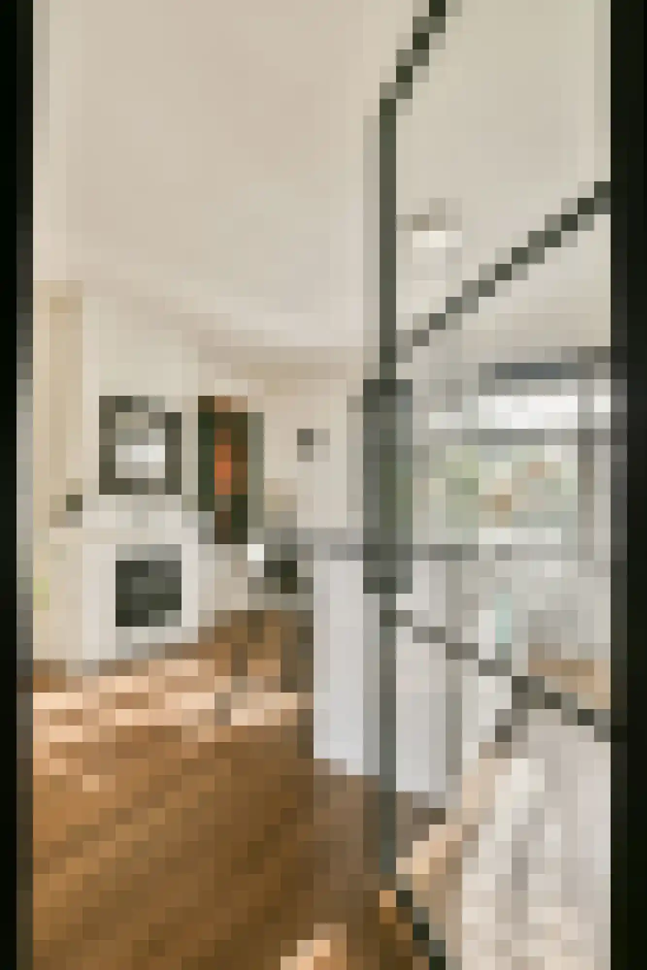 Oosteinderweg 407 Aalsmeer thumbnail 6