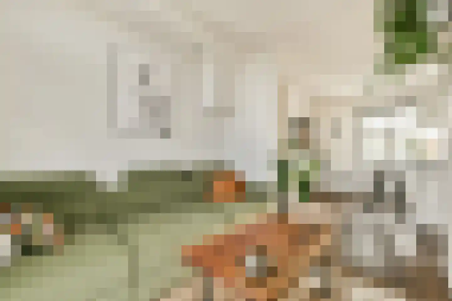 Oosteinderweg 407 Aalsmeer thumbnail 8