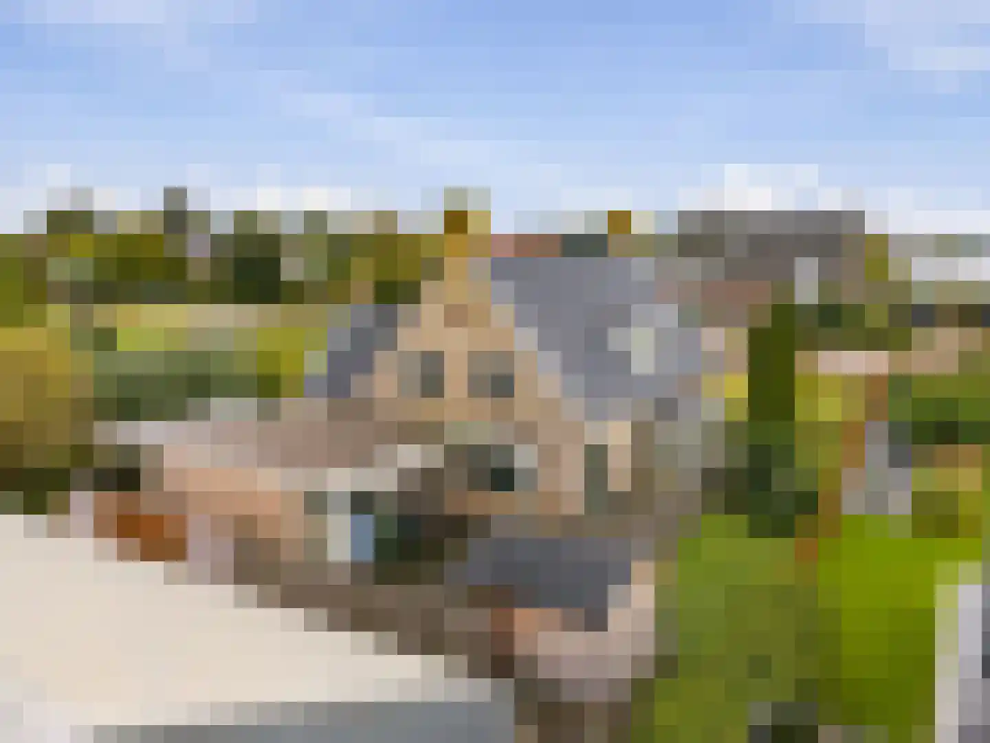 Oosteinderweg 419 Aalsmeer thumbnail 38
