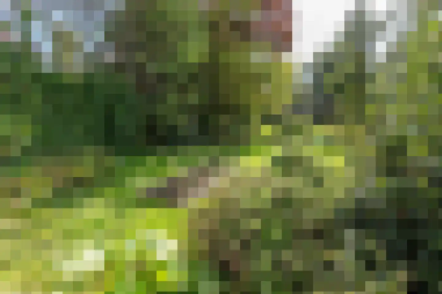Oosteinderweg 432 Aalsmeer thumbnail 11