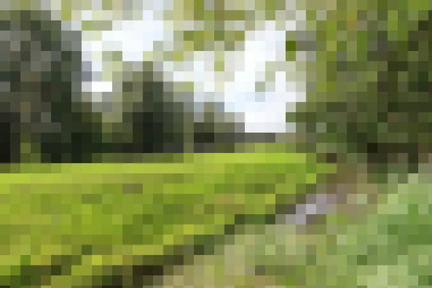 Oosteinderweg 432 Aalsmeer thumbnail 12