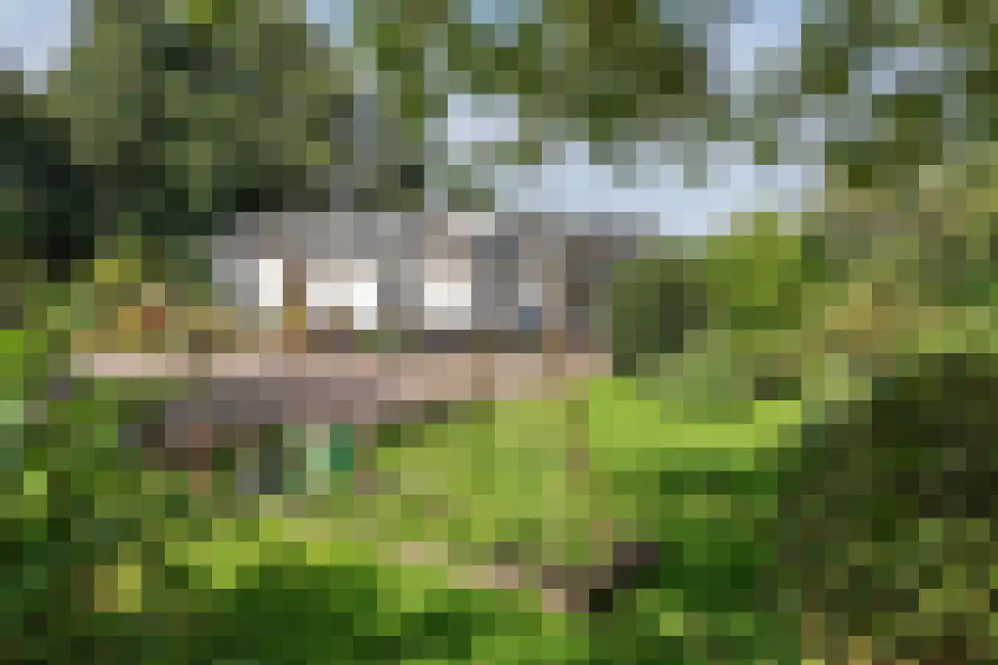 Oosteinderweg 432 Aalsmeer thumbnail 13