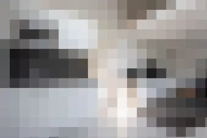 Oosteinderweg 438 Aalsmeer thumbnail 30