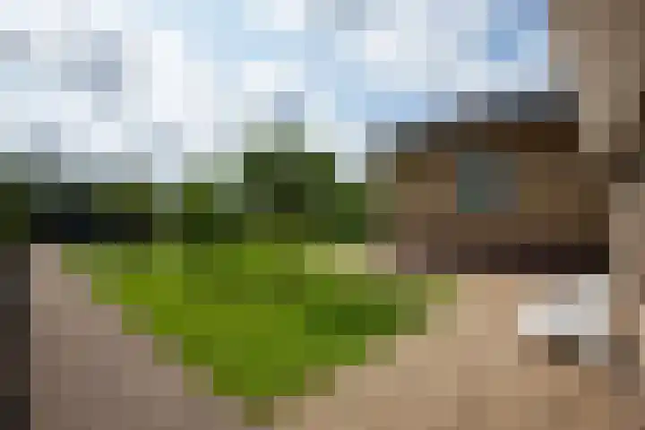 Oosteinderweg 438 Aalsmeer thumbnail 41