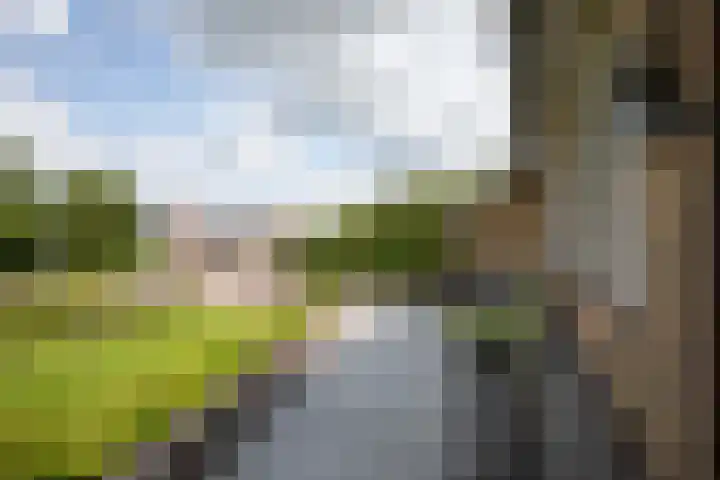 Oosteinderweg 438 Aalsmeer thumbnail 42
