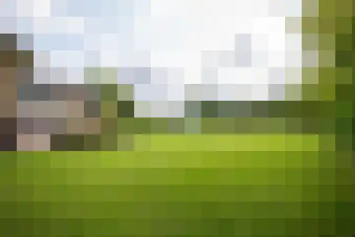 Oosteinderweg 438 Aalsmeer thumbnail 44