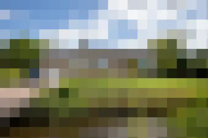 Oosteinderweg 438 Aalsmeer thumbnail 48