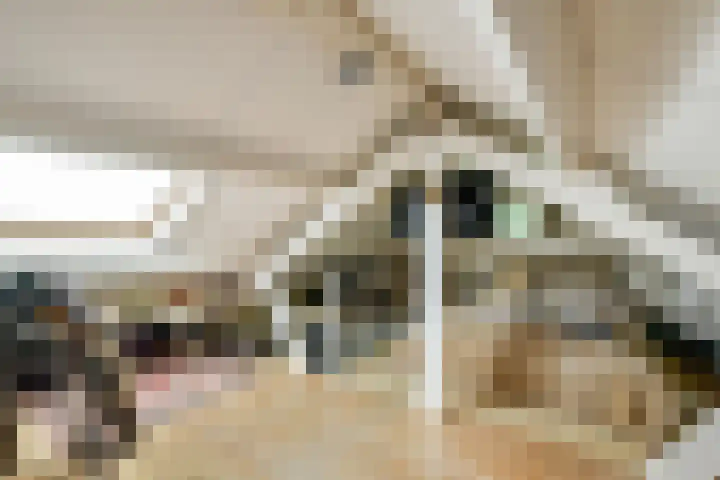 Oosteinderweg 450 Aalsmeer thumbnail 27