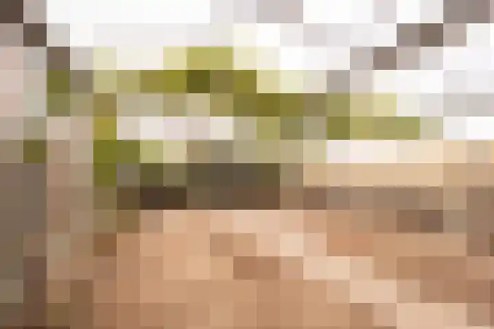 Oosteinderweg 48 Wognum thumbnail 29