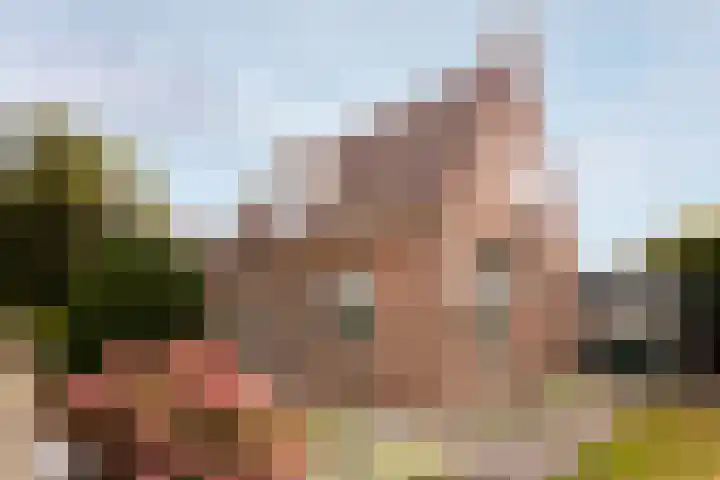 Oosteinderweg 48 Wognum thumbnail 33