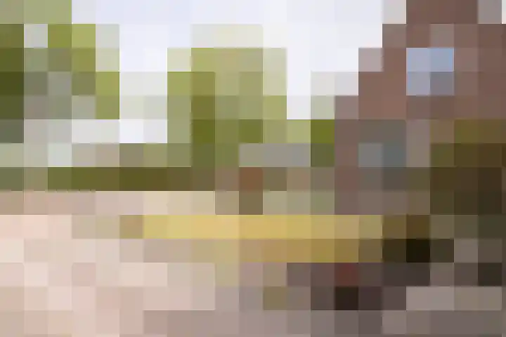 Oosteinderweg 48 Wognum thumbnail 42