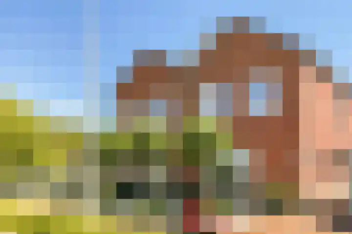 Oosteinderweg 494 in Aalsmeer