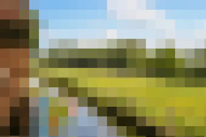 Oosteinderweg 494 Aalsmeer thumbnail 15