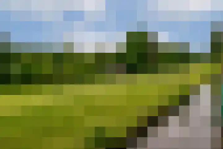 Oosteinderweg 494 Aalsmeer thumbnail 18
