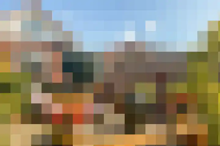 Oosteinderweg 494 Aalsmeer thumbnail 4