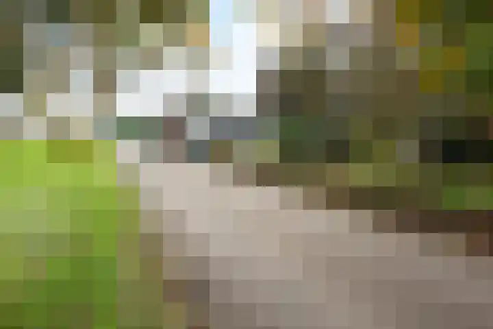 Oosteinderweg 569 Aalsmeer thumbnail 6