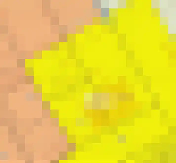 Oosteinderweg 569 b Aalsmeer thumbnail 38
