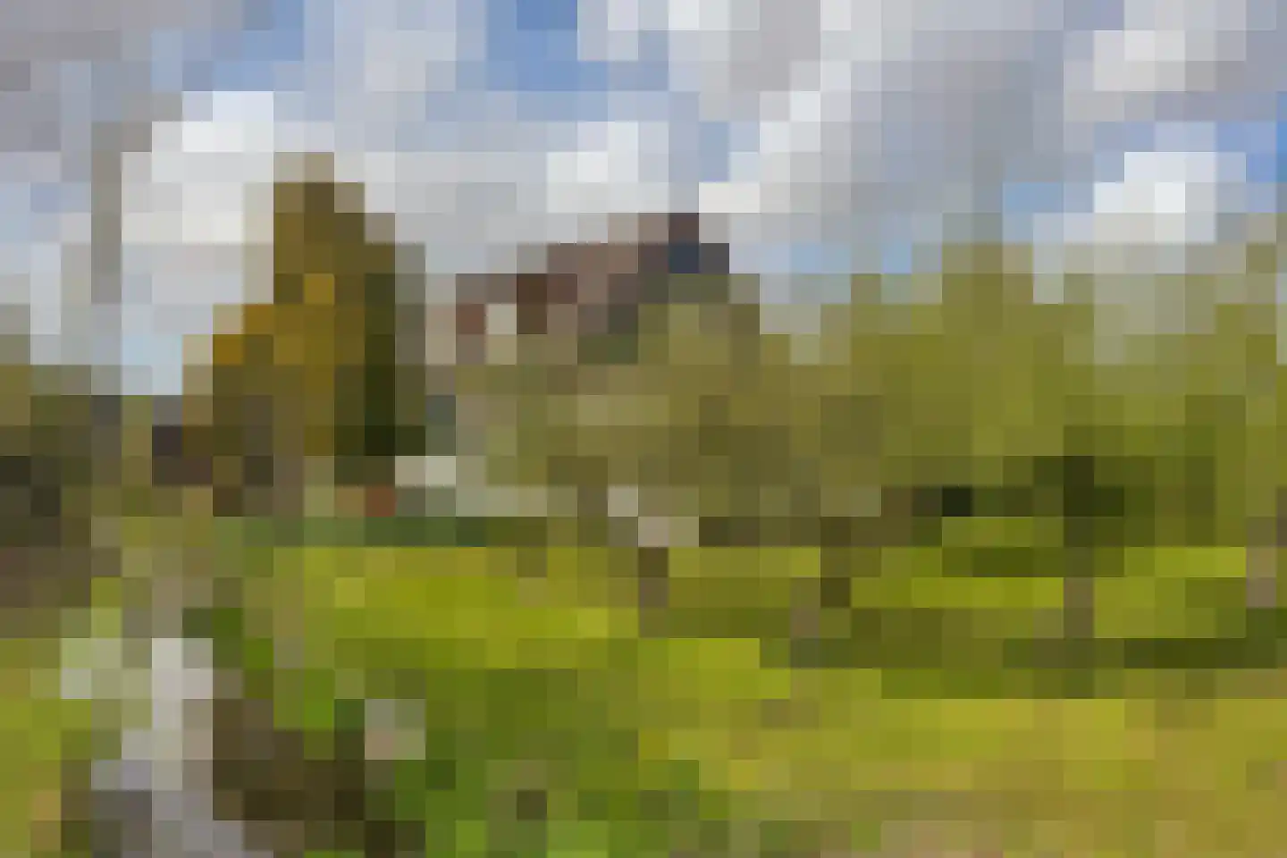 Oosteinderweg 569 b Aalsmeer thumbnail 9