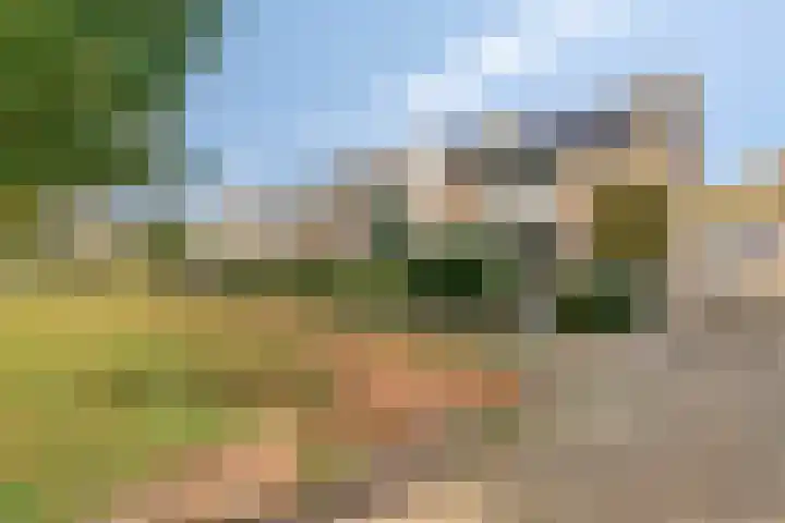 Oosteinderweg 59 Nunspeet thumbnail 6