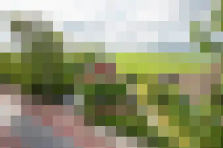 Oosteinderweg 62 Wognum thumbnail 35