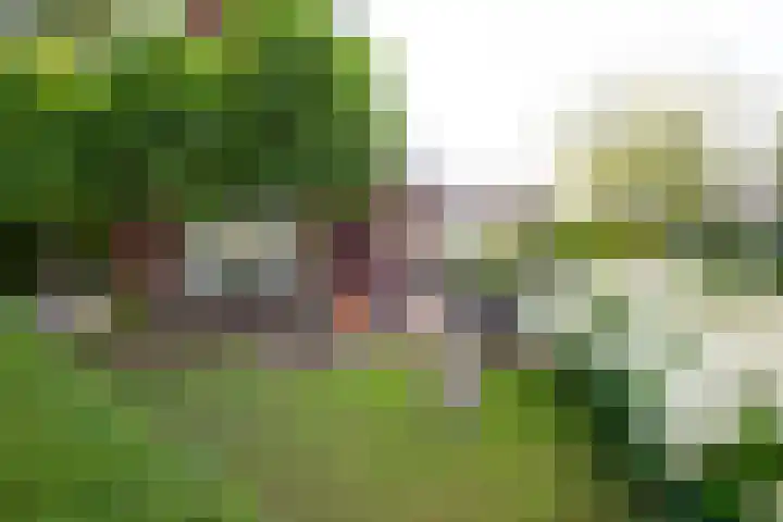 Oosteinderweg 62 Wognum thumbnail 38