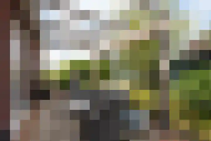 Oosteinderweg 62 Wognum thumbnail 39