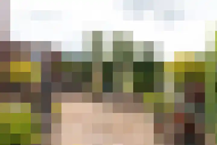 Oosteinderweg 62 Wognum thumbnail 40