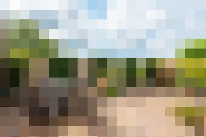 Oosteinderweg 62 Wognum thumbnail 41