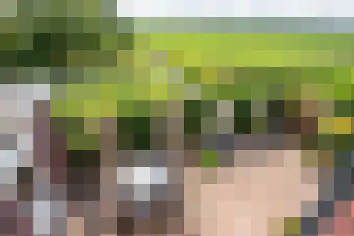 Oosteinderweg 62 Wognum thumbnail 43