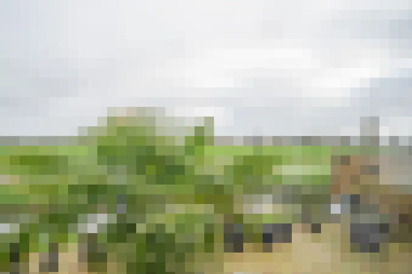 Oosteinderweg 83 051 Wognum thumbnail 19
