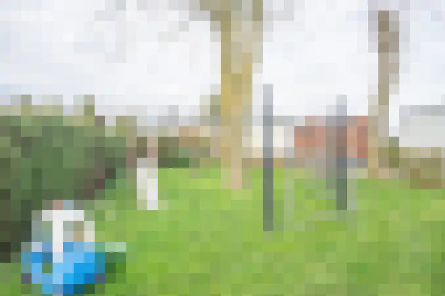 Oosteinderweg 83 051 Wognum thumbnail 34