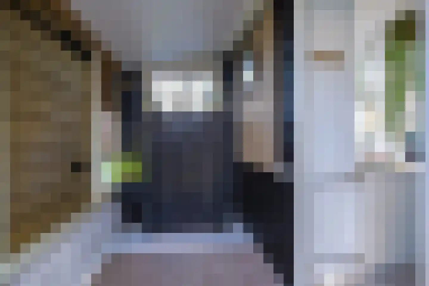 Oosteinderweg 83 Wognum thumbnail 9