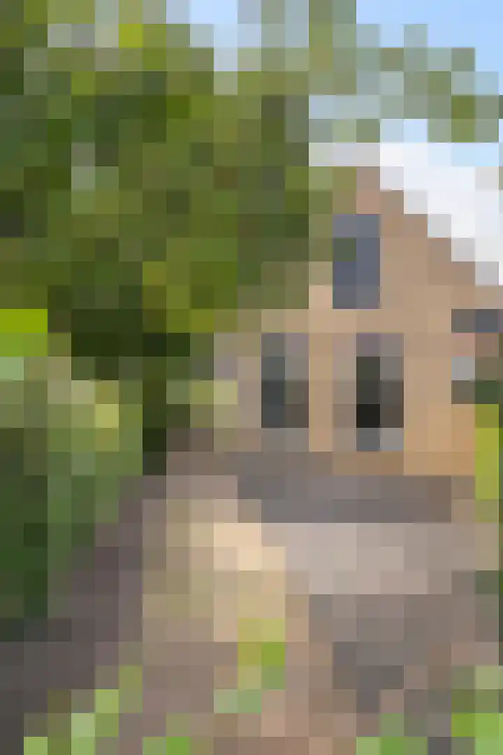 Oosteindseweg 113 Bergschenhoek thumbnail 4