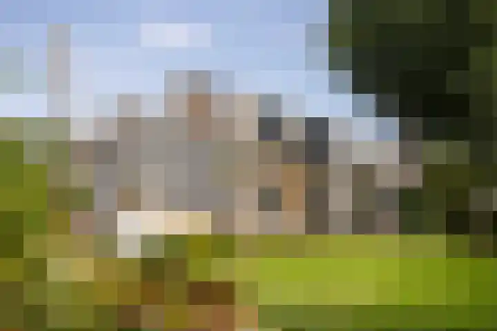 Oosteindseweg 113 Bergschenhoek thumbnail 44