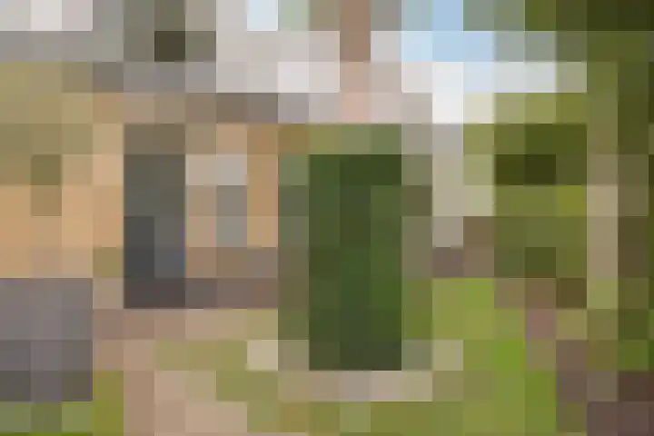 Oosteindseweg 113 Bergschenhoek thumbnail 47