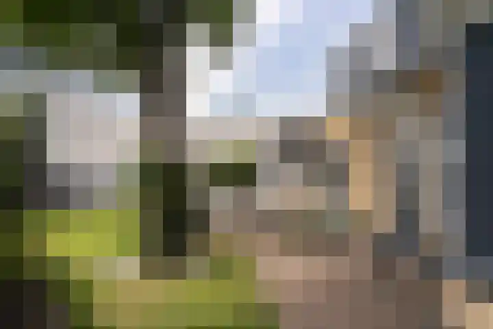 Oosteindseweg 113 Bergschenhoek thumbnail 5
