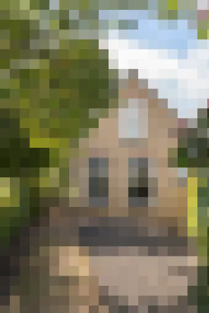 Oosteindseweg 113 Bergschenhoek thumbnail 52