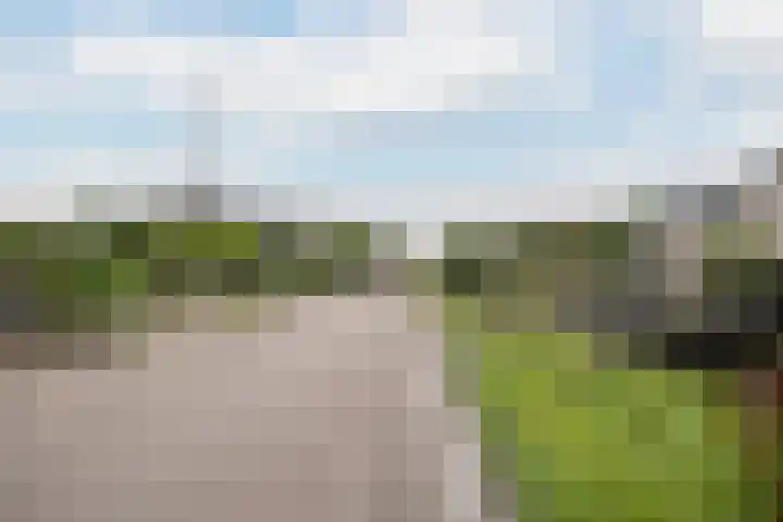 Oosteindseweg 113 Bergschenhoek thumbnail 53