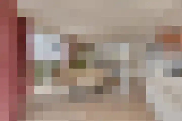 Oosteindseweg 13 Bergschenhoek thumbnail 16