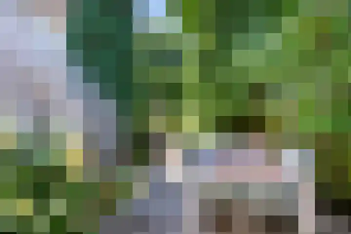 Oosteindseweg 13 Bergschenhoek thumbnail 23