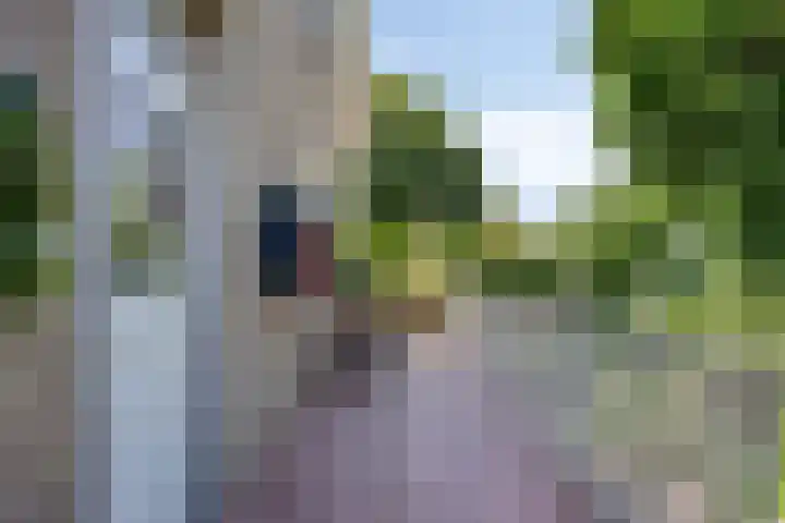 Oosteindseweg 13 Bergschenhoek thumbnail 25