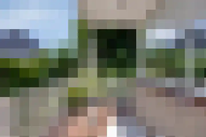 Oosteindseweg 13 Bergschenhoek thumbnail 27