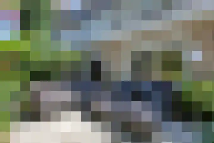 Oosteindseweg 13 Bergschenhoek thumbnail 32