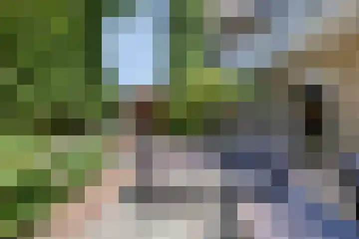Oosteindseweg 13 Bergschenhoek thumbnail 35