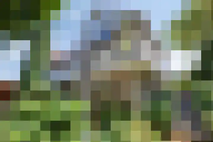 Oosteindseweg 13 Bergschenhoek thumbnail 36