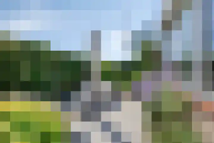 Oosteindseweg 13 Bergschenhoek thumbnail 4