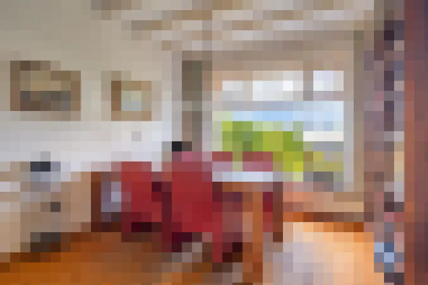 Oosteindseweg 157 Bergschenhoek thumbnail 8