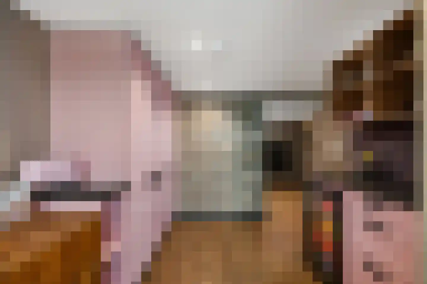 Oosteindseweg 21 Bergschenhoek thumbnail 10
